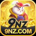 9nz - Premium Earning App
